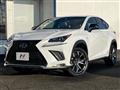 2019 Lexus NX