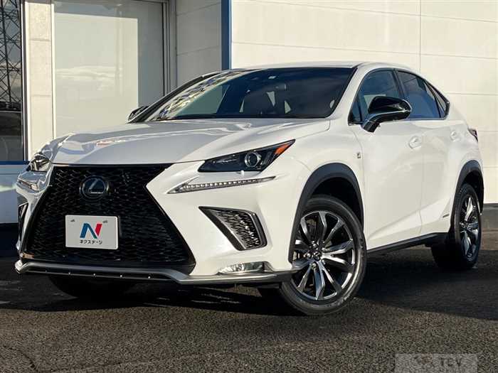 2019 Lexus NX
