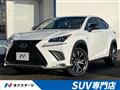 2019 Lexus NX