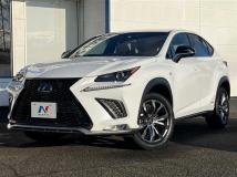 2019 Lexus NX