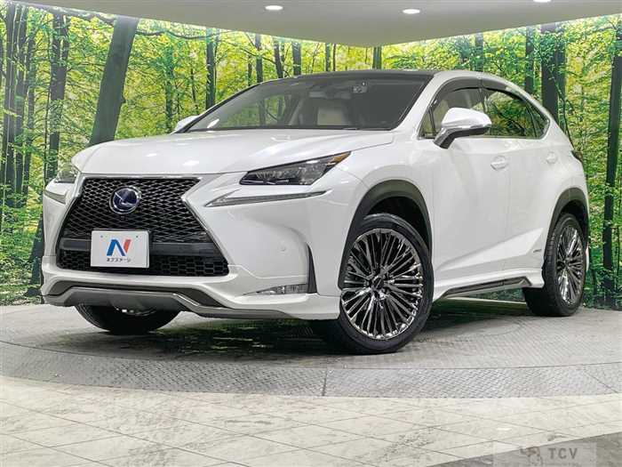 2014 Lexus NX