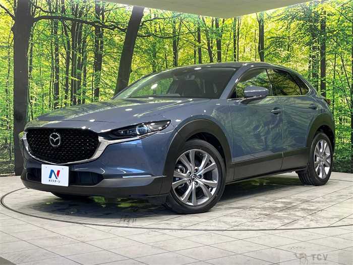 2019 Mazda Mazda Others