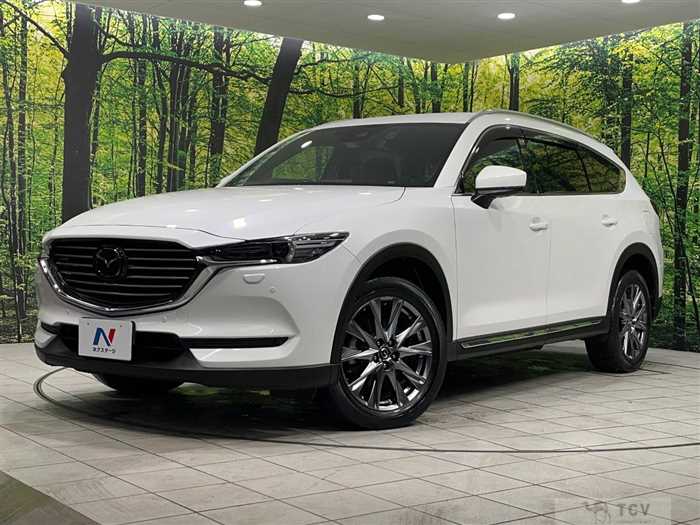 2018 Mazda CX-8
