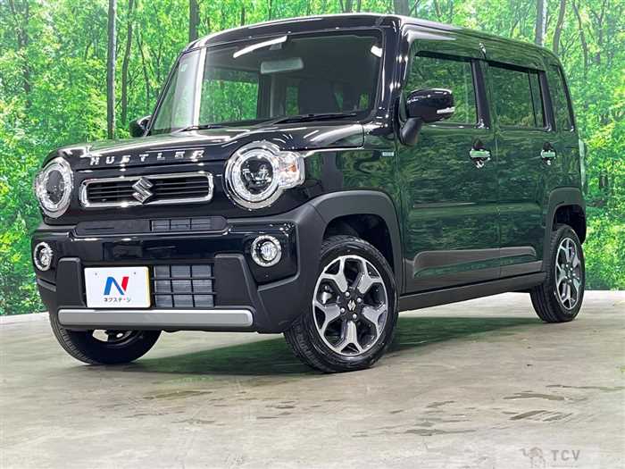2024 Suzuki Hustler