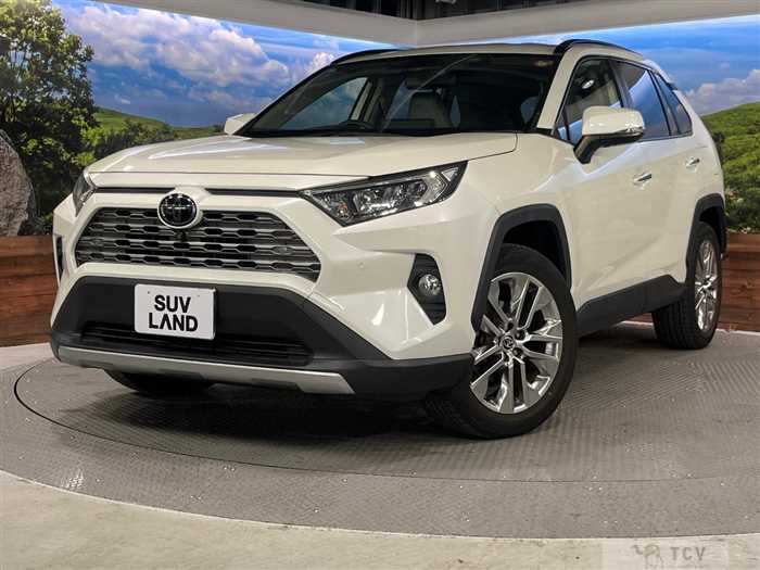 2020 Toyota RAV4