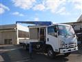2009 Isuzu Isuzu Others
