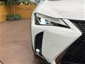2019 Lexus Other