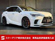 2025 Lexus RX
