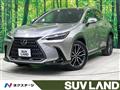 2021 Lexus NX