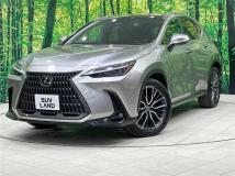 2021 Lexus NX