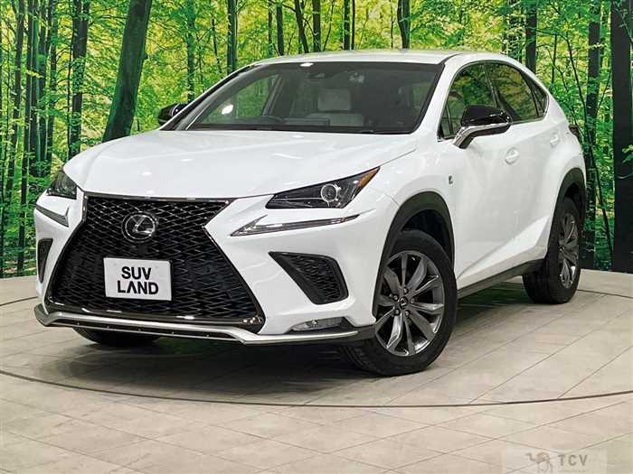2018 Lexus NX