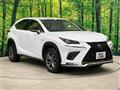 2018 Lexus NX