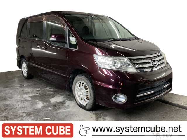 2010 Nissan Serena