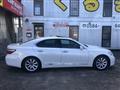 2007 Lexus LS