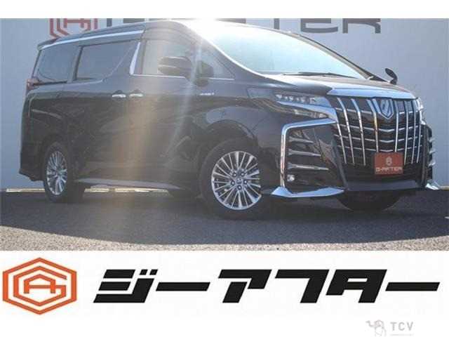 2019 Toyota Alphard G