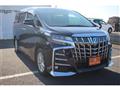 2019 Toyota Alphard G