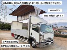 2010 Isuzu Isuzu Others
