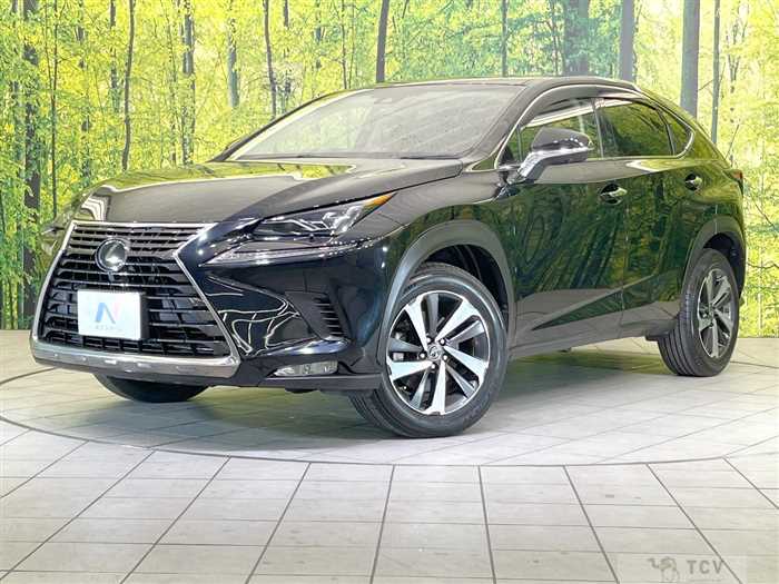 2018 Lexus NX