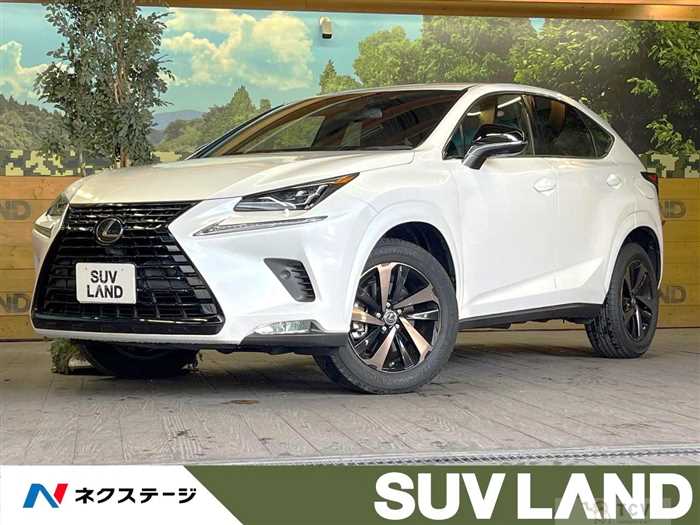 2020 Lexus NX