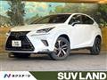 2020 Lexus NX