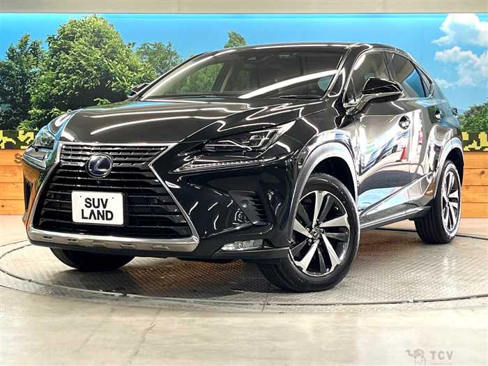 2019 Lexus NX