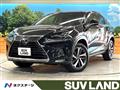 2019 Lexus NX