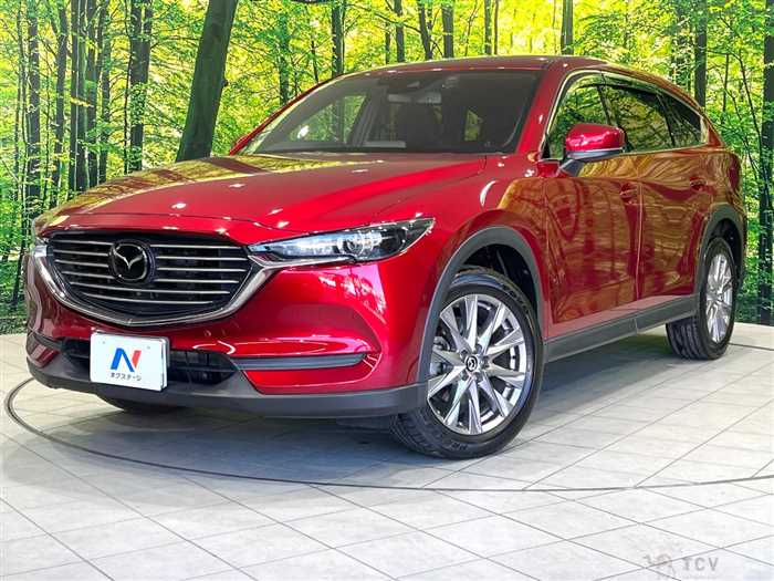2019 Mazda CX-8