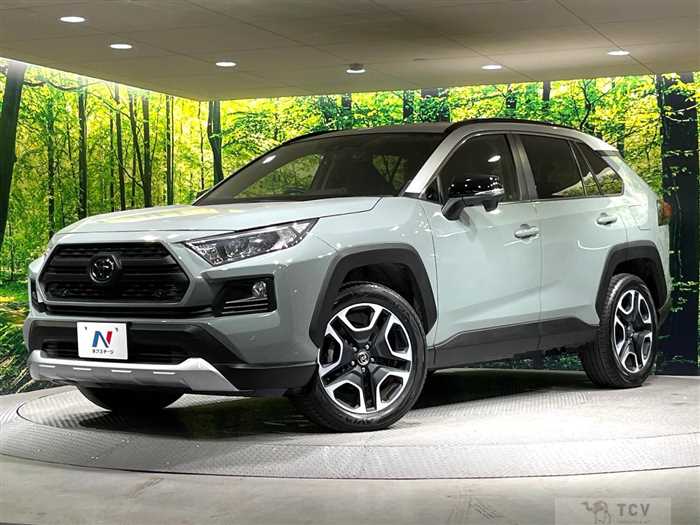 2019 Toyota RAV4