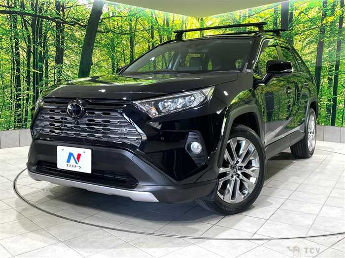 2020 Toyota RAV4