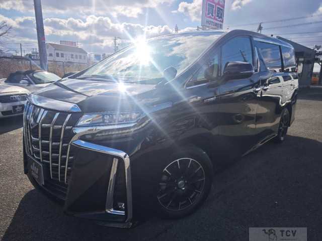 2019 Toyota Alphard G