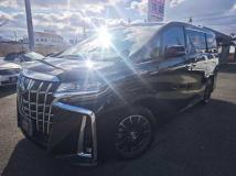 2019 Toyota Alphard G