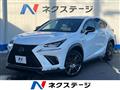2019 Lexus NX