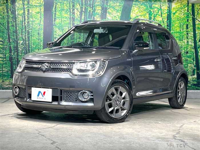 2017 Suzuki Suzuki Others