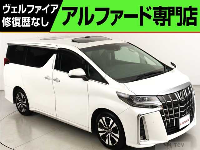 2019 Toyota Alphard G