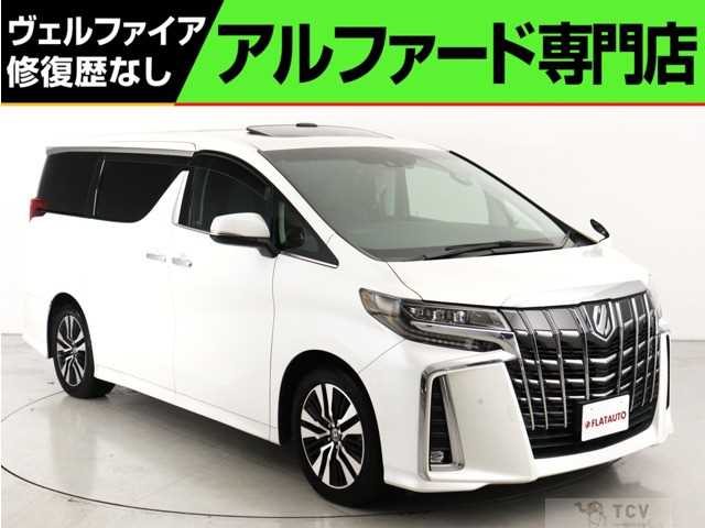 2019 Toyota Alphard G