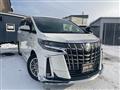 2019 Toyota Alphard G
