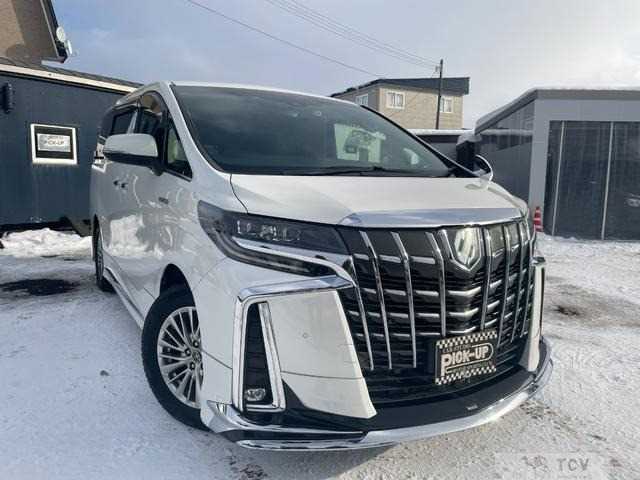 2019 Toyota Alphard G