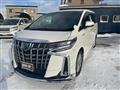 2019 Toyota Alphard G