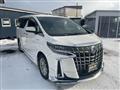 2019 Toyota Alphard G