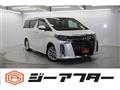 2020 Toyota Alphard G