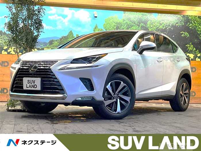 2018 Lexus NX