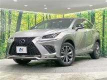 2019 Lexus NX