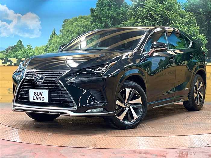 2021 Lexus NX