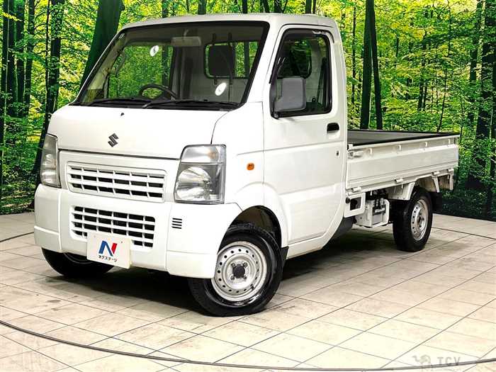 2010 Suzuki Carry Truck