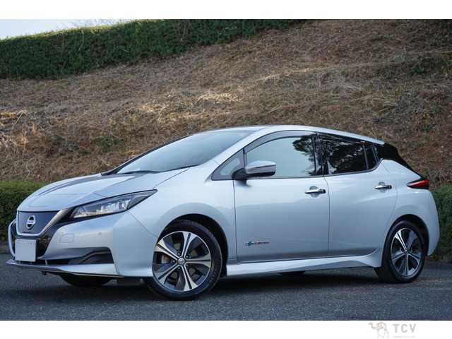 2019 Nissan Nissan Others