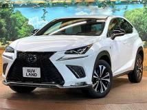 2018 Lexus NX