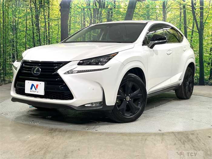 2017 Lexus NX