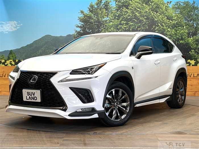 2018 Lexus NX