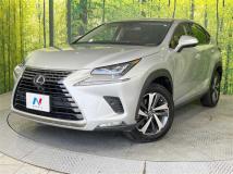 2018 Lexus NX