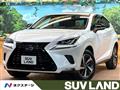 2019 Lexus NX